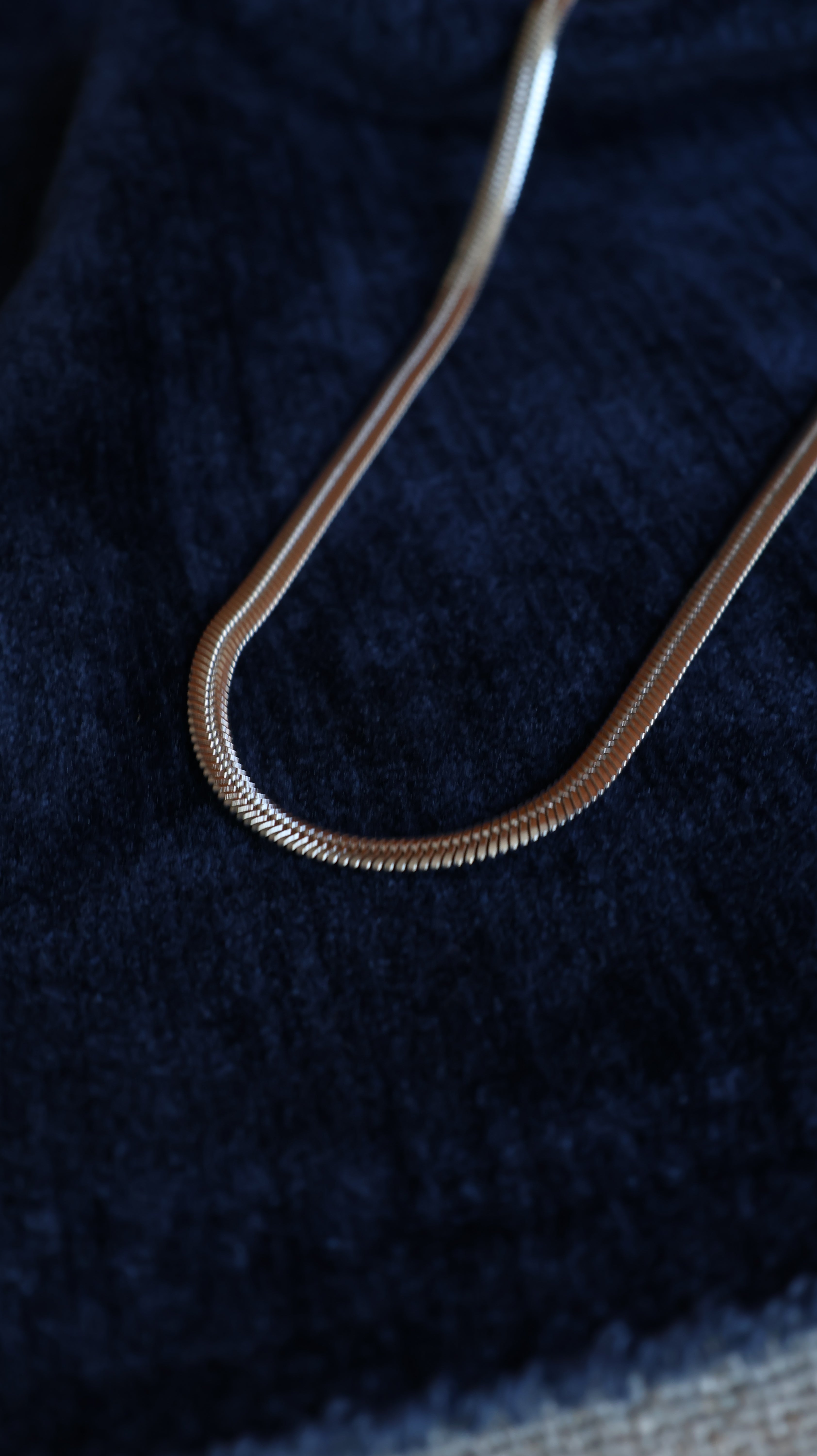 Cadena Panza de Víbora PL