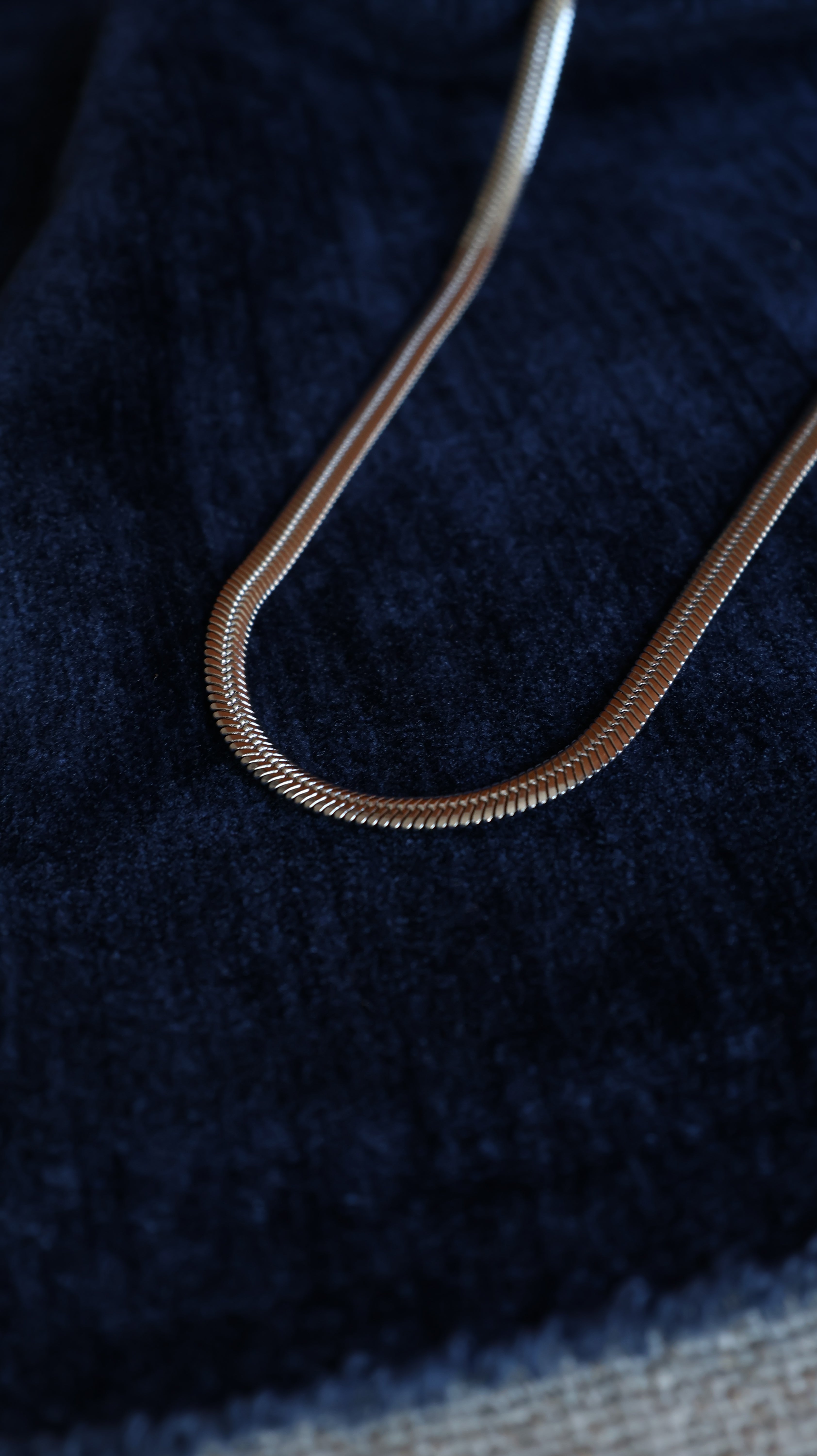 Cadena Panza de Víbora PL